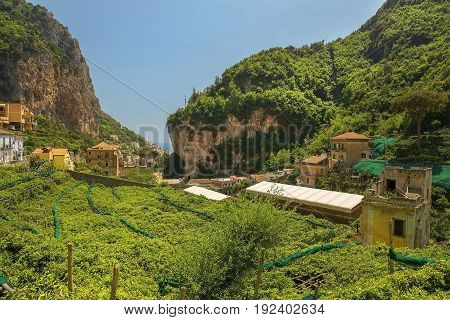 rural landscape with lemon tree plantations, used for the production of Limoncello, italian lemon liqueur, Amalfi, Southern Italy