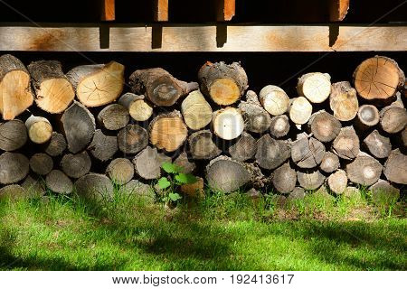 Firewood. Store firewood. Wood burned as fuel.