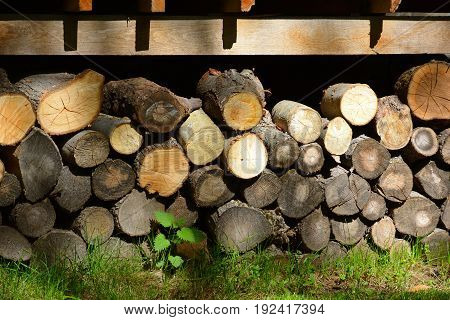 Firewood. Store firewood. Wood burned as fuel.