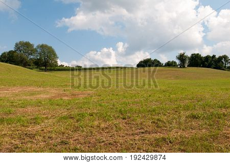 View of Green open space with mature trees on a sunny day with light clouds at Stroud Preserve
