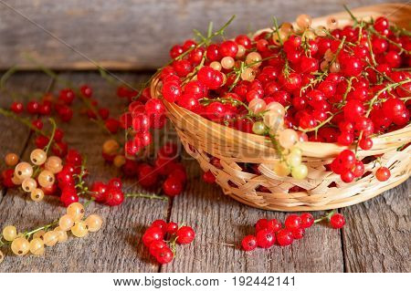 Red currant on brown wooden table. Selectiva focus.