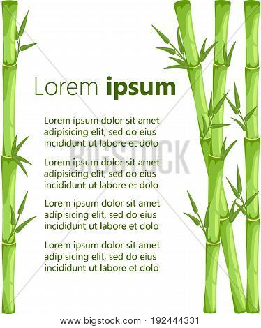 Bamboo With Leaf Vector Illustration. Asian Bambu Zen Plants Background Web Site Page And Mobile App