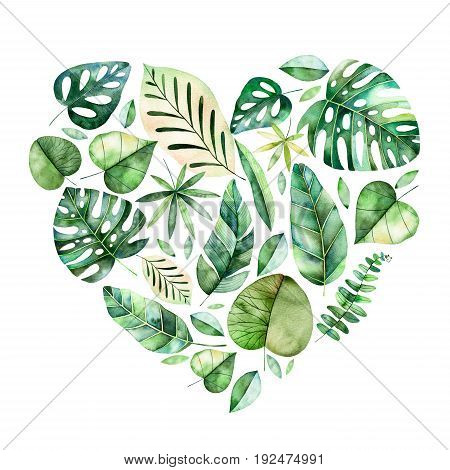 Handpainted illustration with colorful tropical leaves. Tropical forest collection.