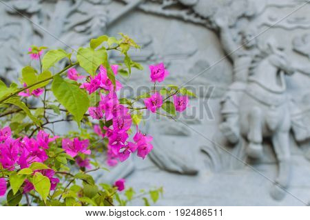 Flower and china architecture detail on background