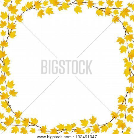 Autumn maple leaves frame isolated on whitel background. Flat lay. Top view.