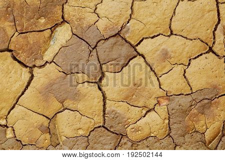 Land With Dry And Cracked Ground.