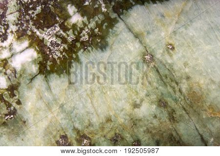 View Of Jadeite Mineral From Tibet - Detail