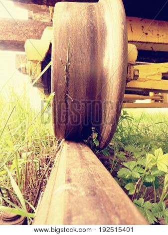 Cargo Wagon Wheel Stay On Rusty Railway. Old Railway Wagon Wait In Depot. Fresh Green Gras
