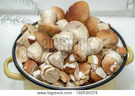 A lot of white mushrooms in a saucepan on a white background