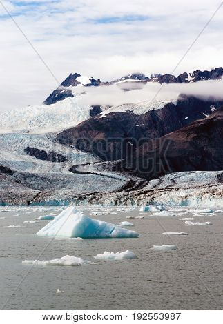 Icebergs float in the ocean just calved off local glaciers