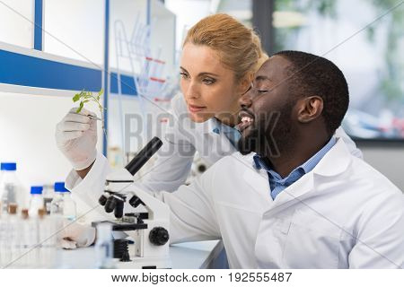 Scientists Looking At Sample Of Plant Working In Genetics Laboratory, Mix Race Couple Of Researchers Analyzing Result Of Experiment In Lab