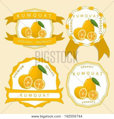 Vector illustration logo for whole ripe fruit kumquat, pear green stem leaf, cut half sliced cumquat background.