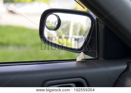 butterfly on the door to the car