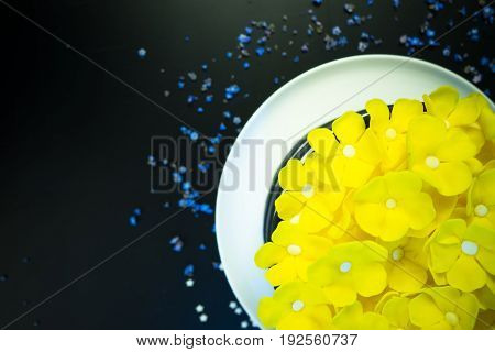 Festive Cake Concept