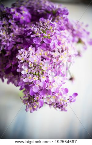 Summer Table Setting