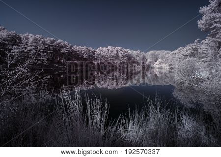 Beautiful False Color Surreal Infrared Landscape Image Of Lake And Surrounding Forest