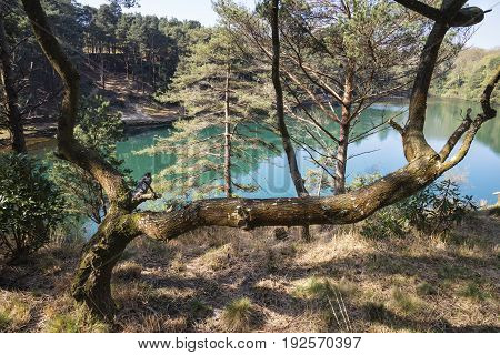 Beautiful Vibrant Landscape Image Of Old Clay Pit Quarry Lake With Unusual Colored Green Water