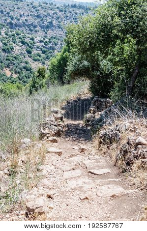 Path  Passing Through A Wooded Slope And Descending To The Amud River
