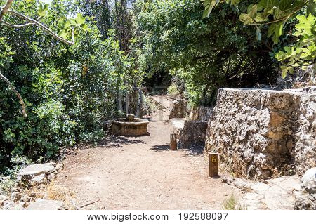 Path passing through a wooded and descending to the Amud River