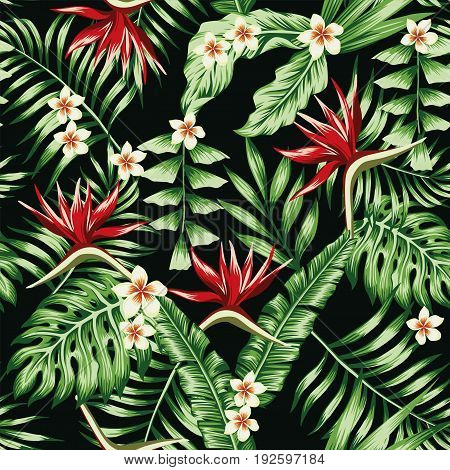 Tropical plants leaves and flowers of the frangipani plumeria and the bird of paradise. Seamless beach pattern on black background wallpaper