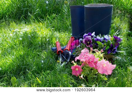 Gardening tools ,boots and spring flowers on the green grass