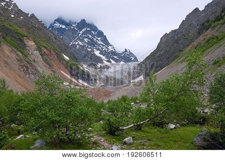 Magical View Of The Glacier