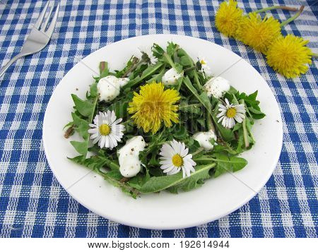 Wild herb salad with dandelion and daisy