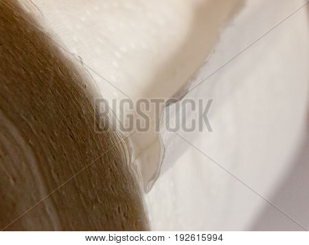 New Toilet Roll Side View Macro Detail