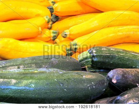 Zucchini in Markham Canada June 24 2017