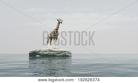 A giraffe on a stone off the seashore admiring the ocean. This is a 3d render illustration