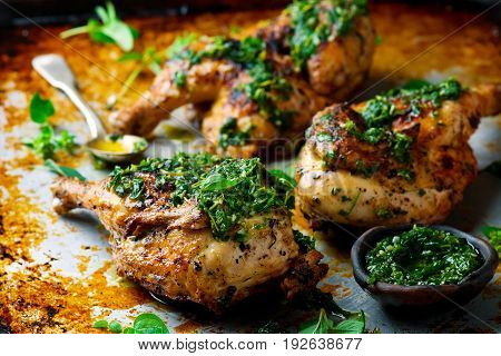Chicken a grill with chimichury sauce..style rustic.selective focus