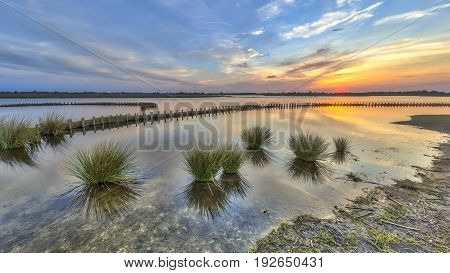 New Ecological Wet Berm Banks