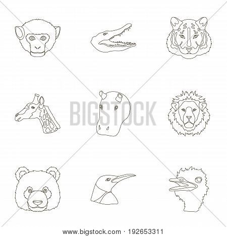 A set of icons of wild animals. Predatory and peaceful wild animals.Realistic animal icon in set collection on outline style vector symbol stock web illustration.