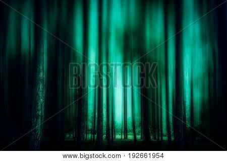 Dream Forest soft  blur style abstract background for feel lonely