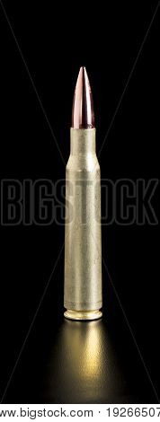 Brass 50 cal. bullet with room for your type.