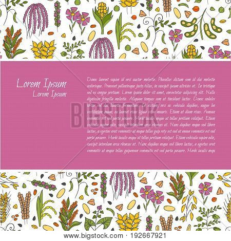 Vector Hand Drawn Porridge Cereals Background