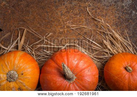Autumn Pumpkin Thanksgiving Background - orange pumpkins over rusty metal background, top view