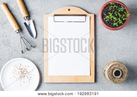 Sprouts In A Pot, Seeds And Garden Tools On A Gray Concrete Background