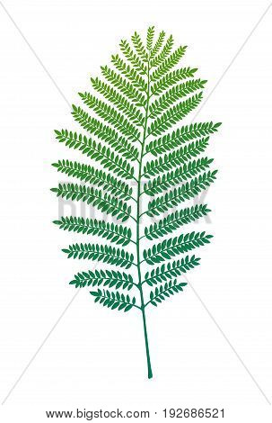Fern leaf silhouette. Vector illustration. Decor element