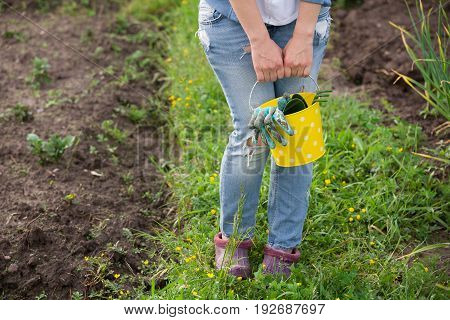 Closeup of woman's hands in gardening gloves holding metal bucket with garden tools: spade and rake. Working in the gaden planting. Lifestyle.