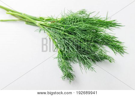 Dill weed. Fresh dill greens. Fennel isolated on white background