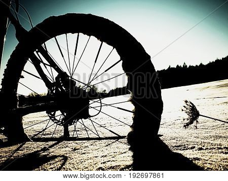Extremme Contrast. Mountain Bike Stay In Powder Snow. Lost Path  In Deep Snowdrift.