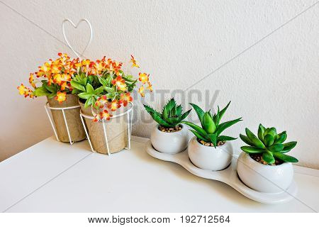 The aloe flowers arranged in lotus-shape and I like green on a white table.