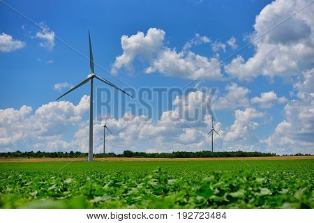 Eolian field and wind turbines farm on contryside in a sunny day