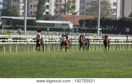 Istanbul Horse Race