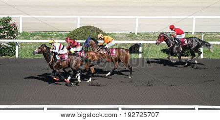 Istanbul Horse Race