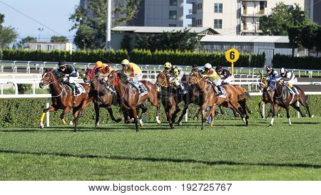 Istanbul Horse Race