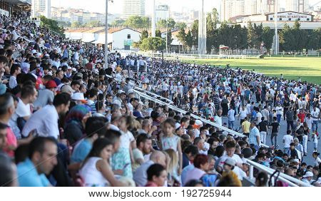Istanbul Horse Race