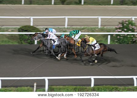 Istanbul Horse Race