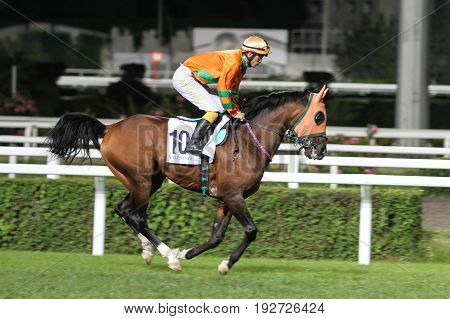 Istanbul Horse Race